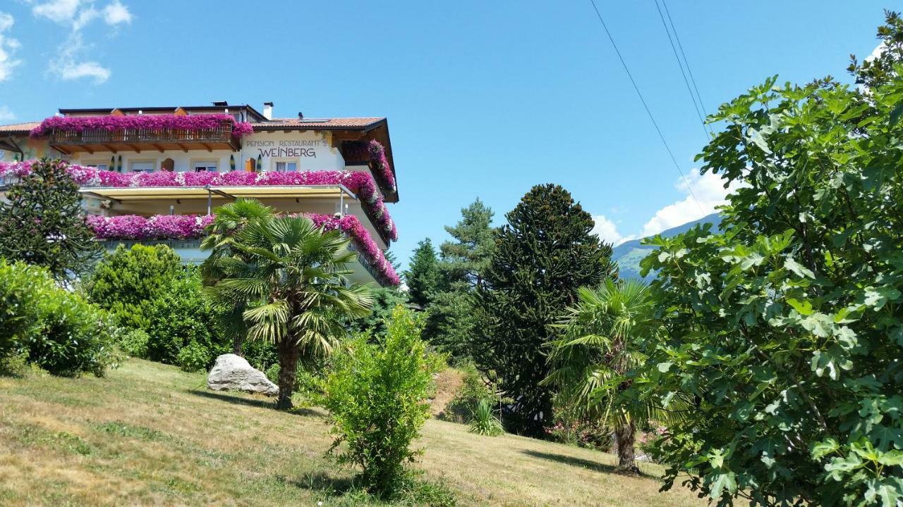 Pension Weinberg Rifiano Extérieur photo