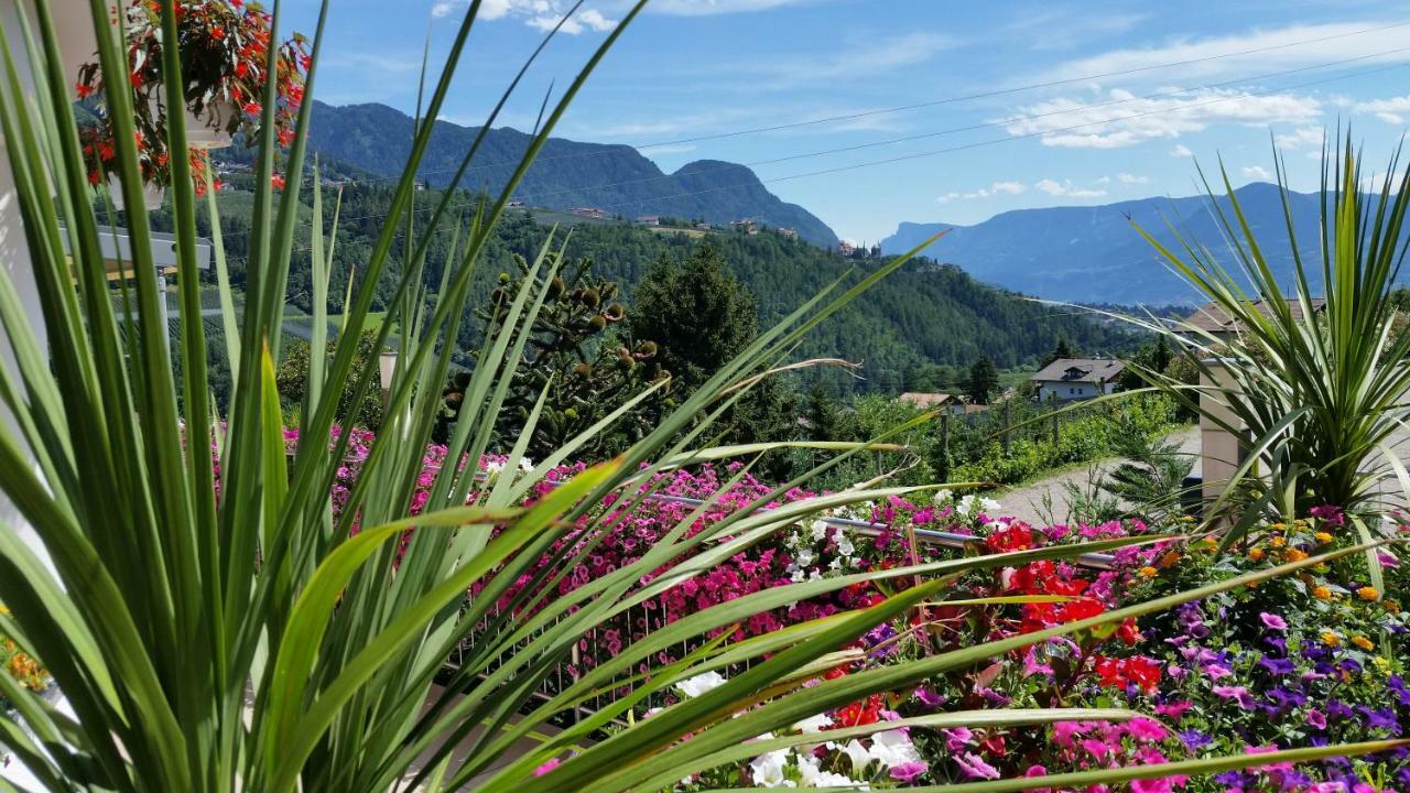 Pension Weinberg Rifiano Extérieur photo